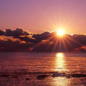 Meet your Posher, Ahmed